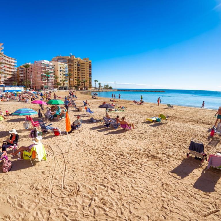 150 Lovely Palangre apartment - Apartamento con terraza - 3