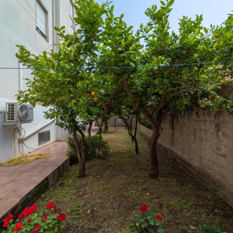 Casa Palmavera - Appartamento con 2 Camere da Letto - 36
