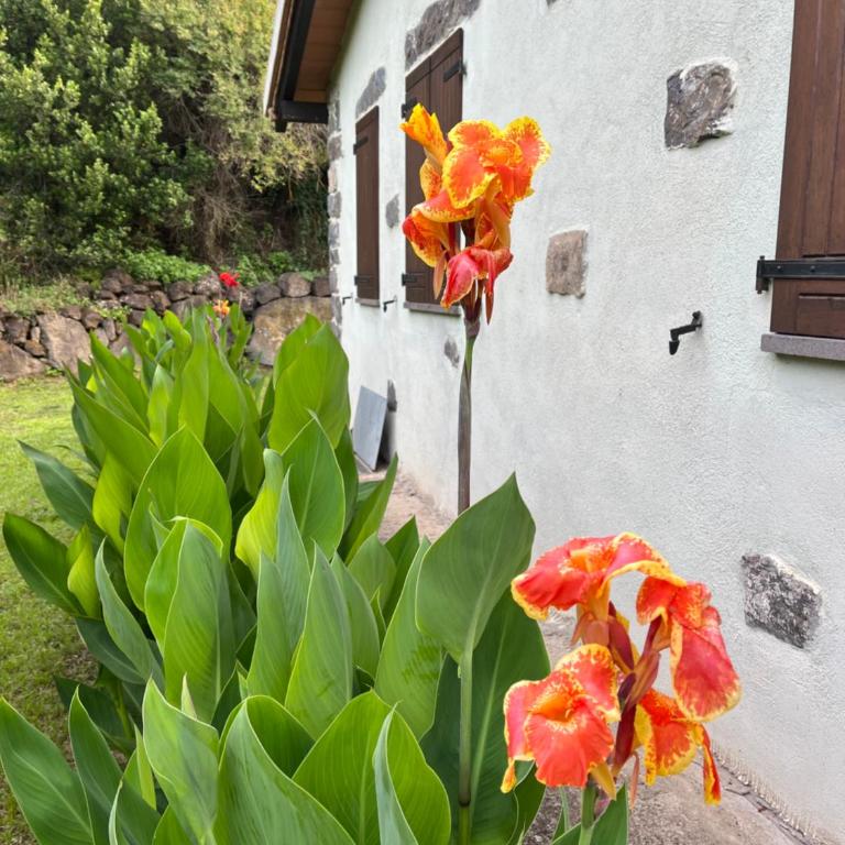 Casa Costera - Chalet con 2 Camere da Letto - 54