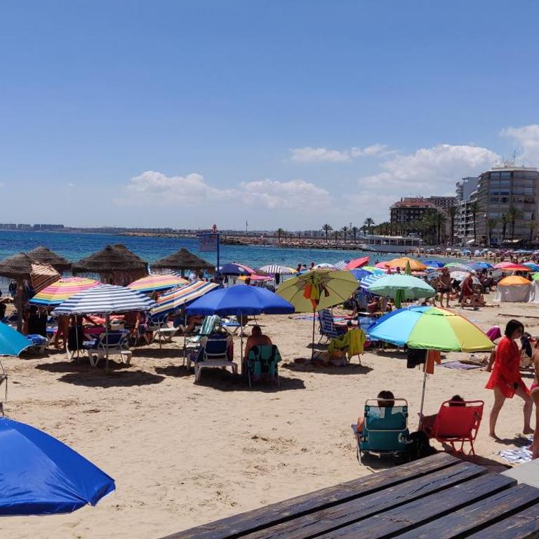 Apartamento Adrianna, Tomillo, Torrevieja - Apartamento de 1 dormitorio - 28
