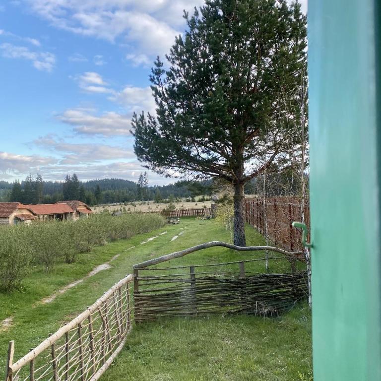 Cottages of Nišići - Brvnara sa 1 Spavaćom Sobom - 15