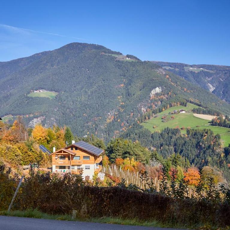 Ferienwohnung am Kernhof - Neues Apartment in ruhiger Lage mitten in der Natur - ideal für Paare, Familien, Gäste mit Hunden - Appartamento con 1 Camera da Letto - 14