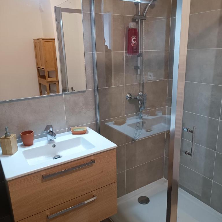 Très beau T2 - One-Bedroom Apartment - 5