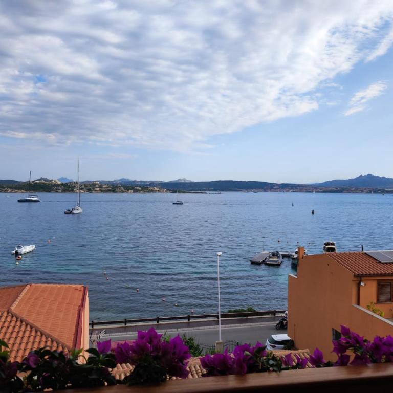 Casa Silvana vista mare - Casa Vacanze - 1