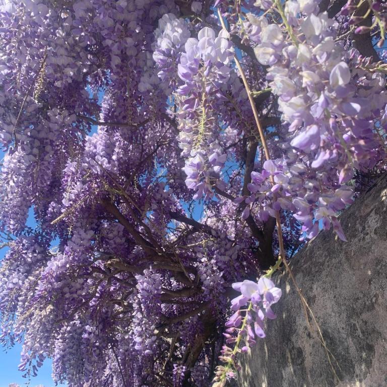 Paradisa28 - Amalfi - Zona Ospedale Cisanello - Appartamento con 1 Camera da Letto - 41