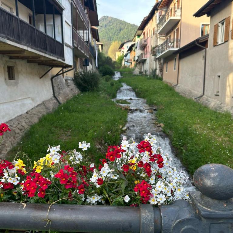 Ivana Suite Levico Terme - Appartamento con 3 Camere da Letto - 52