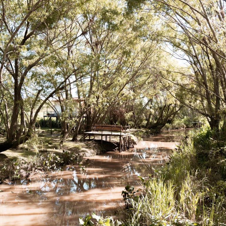 Luna Vieja - Casa de 2 dormitorios - 30