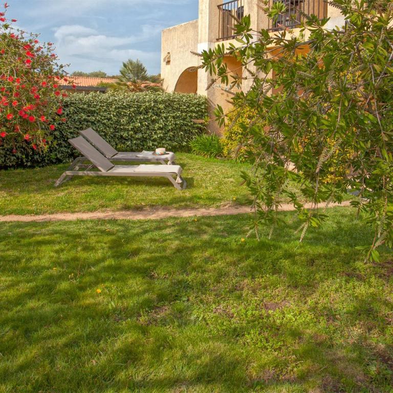 location de vacances figuier avec jardin barbecue piscine chauffée à Calvi - Apartment - 34