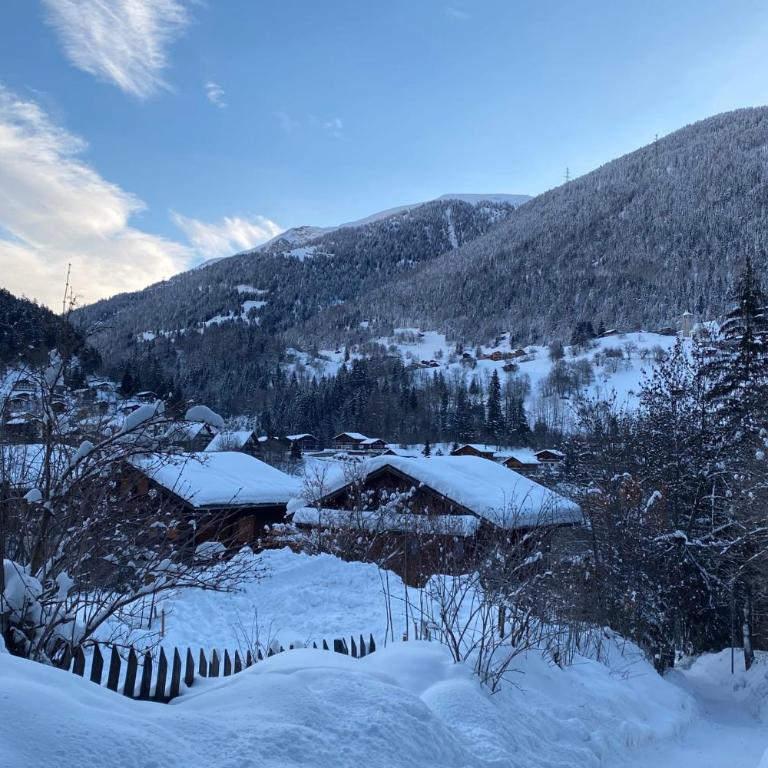 Chalet Castellani Duplex - Chalet - 29
