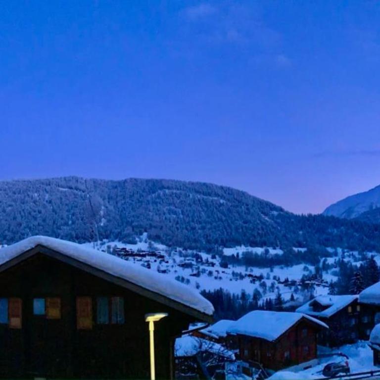 Chalet Castellani Duplex - Chalet - 30