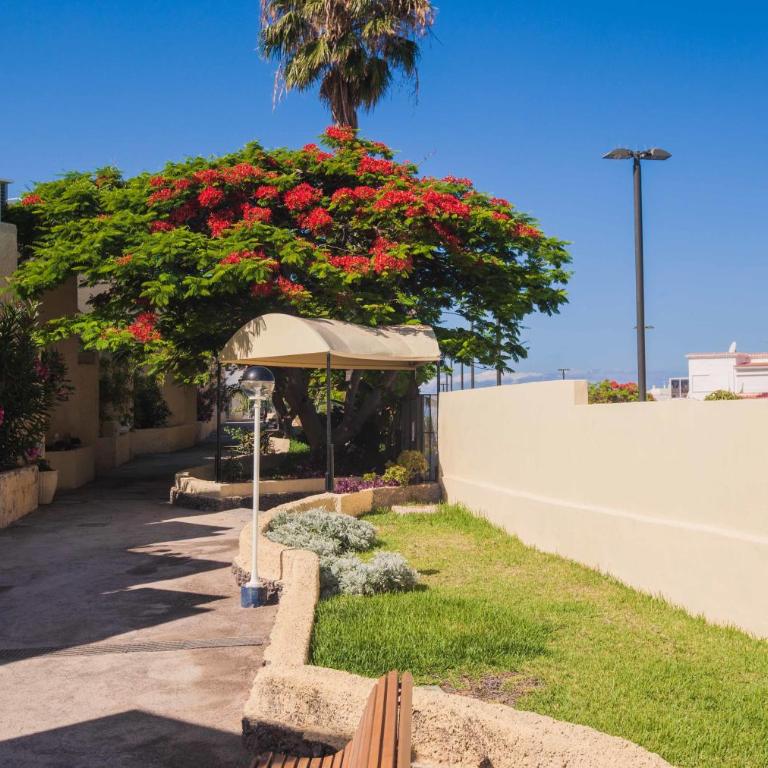 Apartamentos El Cortijo - Apartamento Dúplex - 24
