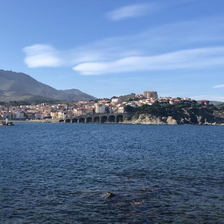 LOCATION BANYULS SUR MER les Terrasses du centre appt 4 à 6 personnes - Two-Bedroom Apartment - 1
