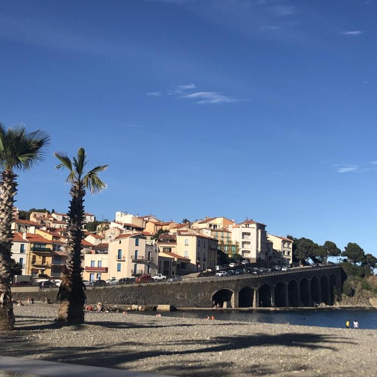 LOCATION BANYULS SUR MER les Terrasses du centre appt 4 à 6 personnes - Two-Bedroom Apartment - 8