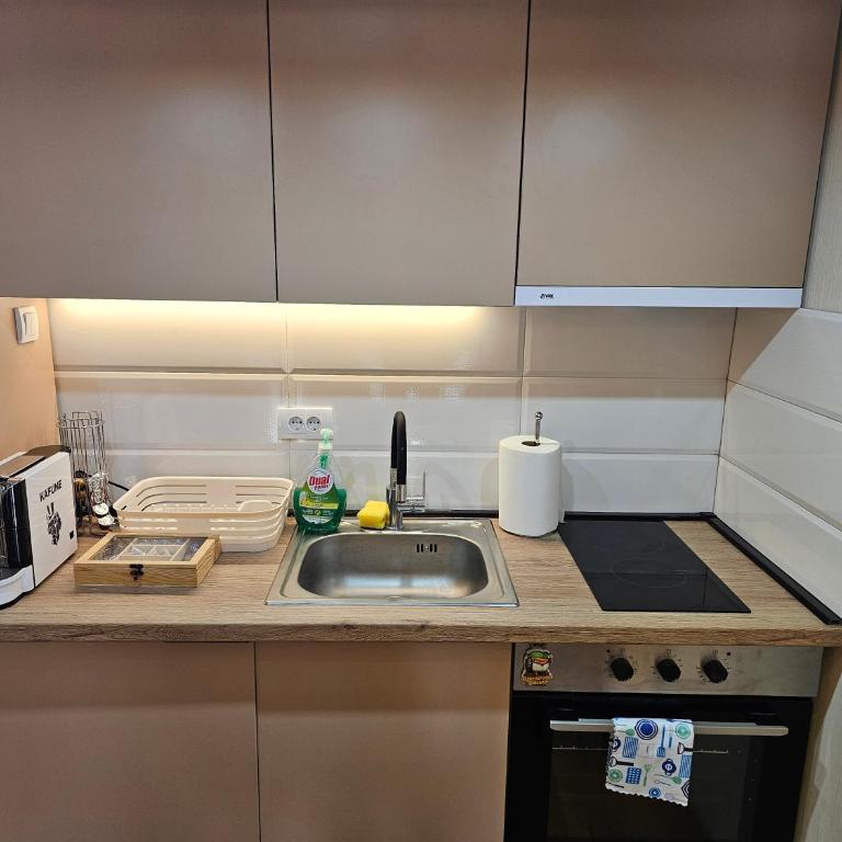 PREMIUM APARTMAN ELENI ROOMS,oaza mira i tisine u centru Vrnjacke banje - Apartman sa 2 Spavaće Sobe - 22