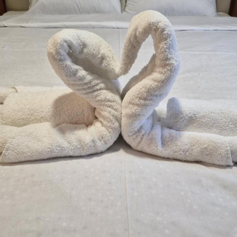 PREMIUM APARTMAN ELENI ROOMS,oaza mira i tisine u centru Vrnjacke banje - Apartman sa 2 Spavaće Sobe - 28