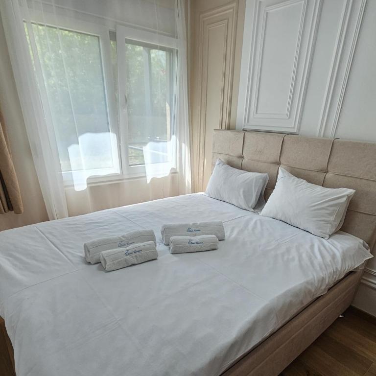 PREMIUM APARTMAN ELENI ROOMS,oaza mira i tisine u centru Vrnjacke banje - Apartman sa 2 Spavaće Sobe - 33