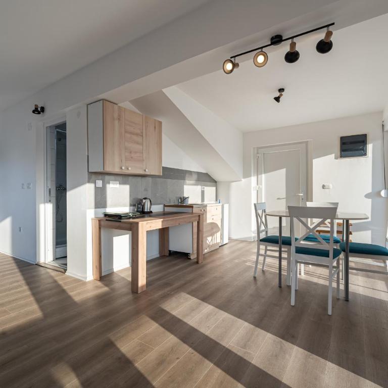 Regina Residence - Apartman sa 1 Spavaćom Sobom - 6