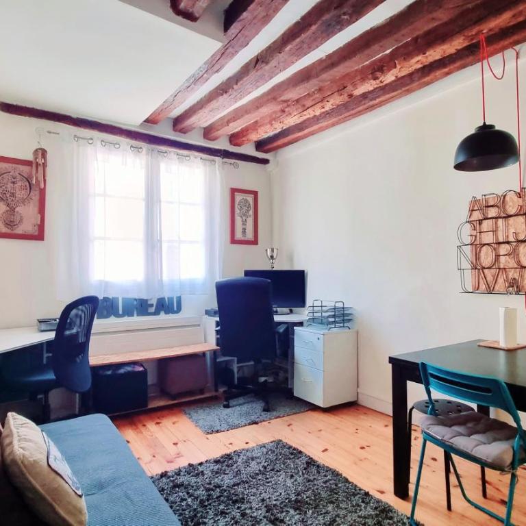 Cozy apartment Central Paris Le Marais with 1 separate Bed room - Appartement 1 Chambre - 12