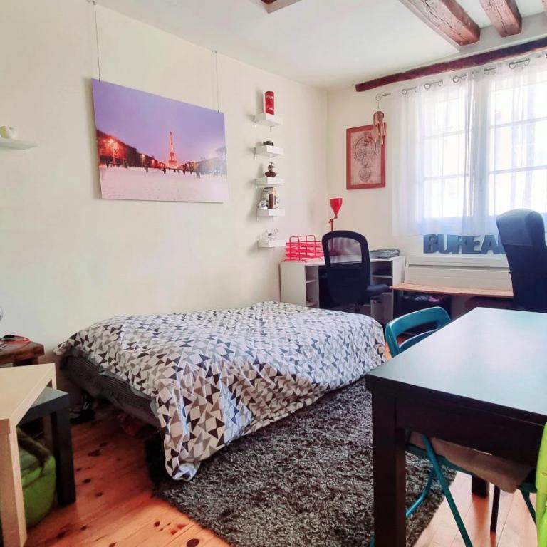 Cozy apartment Central Paris Le Marais with 1 separate Bed room - Appartement 1 Chambre - 45
