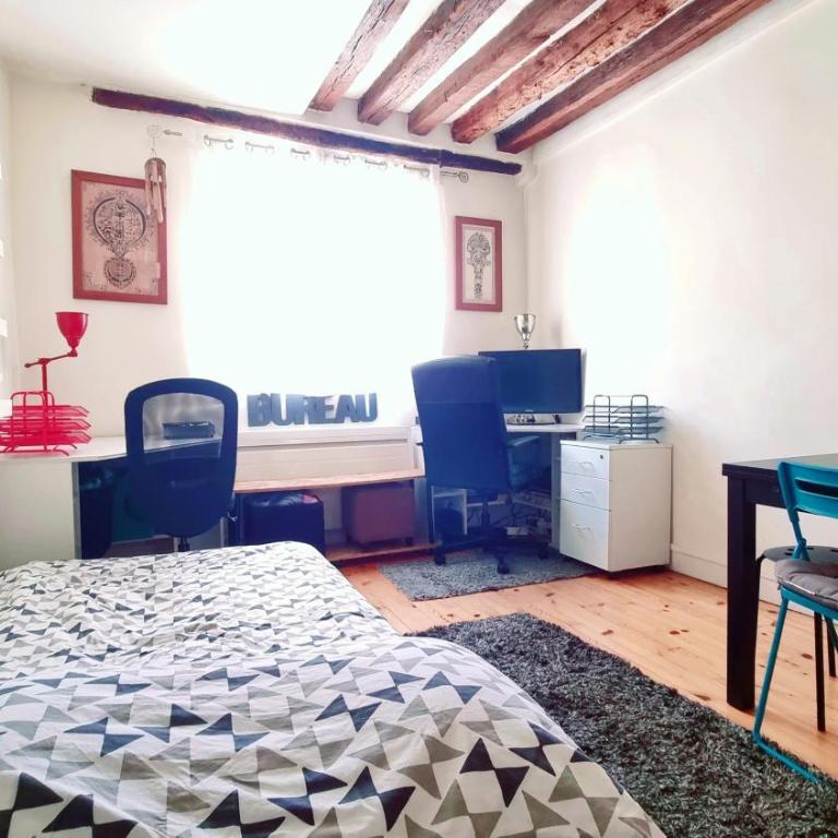 Cozy apartment Central Paris Le Marais with 1 separate Bed room - Appartement 1 Chambre - 46
