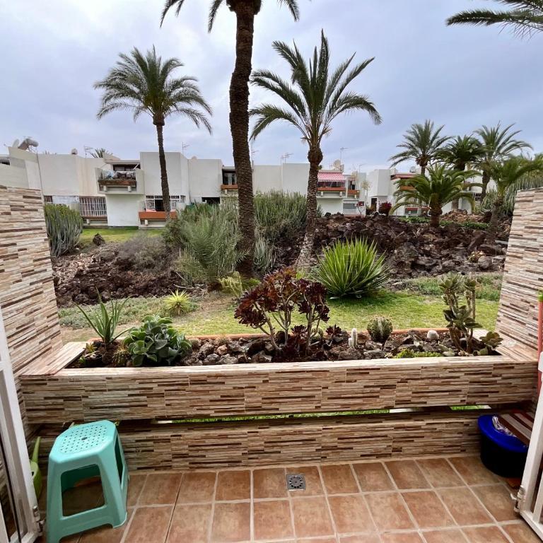 Primavera - Apartamento de 1 dormitorio - 61