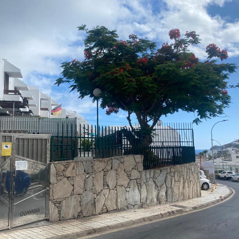 Comfortable duplex apartment near the beach - Casa - 38