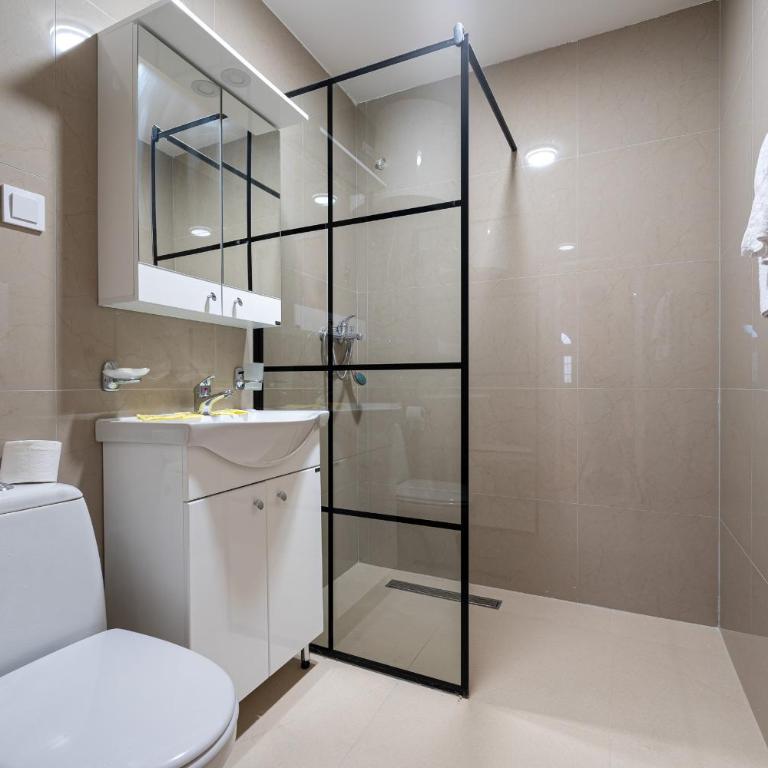 Regina Residence - Deluks Dvokrevetni Studio sa Bračnim Krevetom - 1