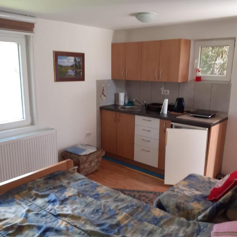 Apartman Jorgovan - Apartman sa 1 Spavaćom Sobom - 7