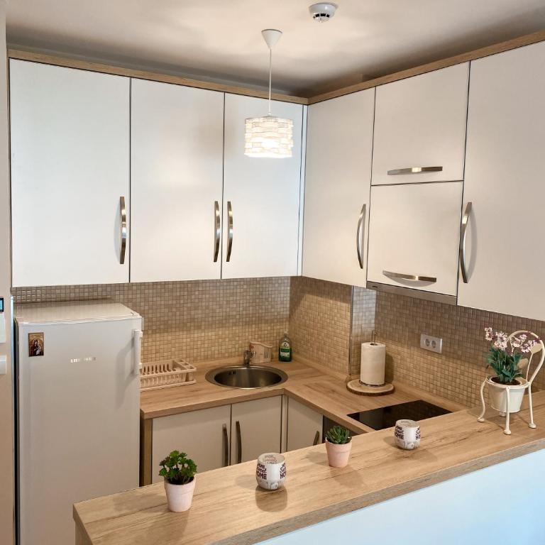 Vanja Apartment with Private Parking - Sea View - Apartman s 1 Spavaćom Sobom, Pogledom na More i Terasom - 20