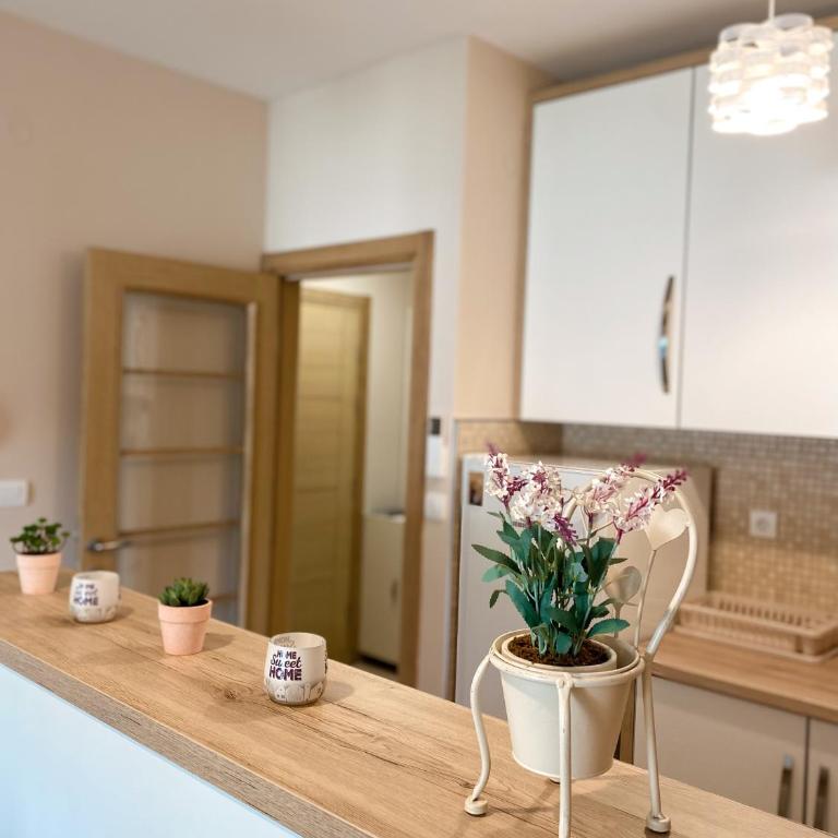 Vanja Apartment with Private Parking - Sea View - Apartman s 1 Spavaćom Sobom, Pogledom na More i Terasom - 21