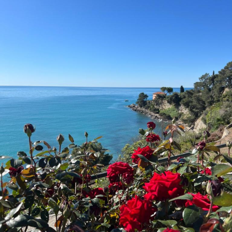 Appartamento un mare di fiori - Appartamento con Terrazza - 27