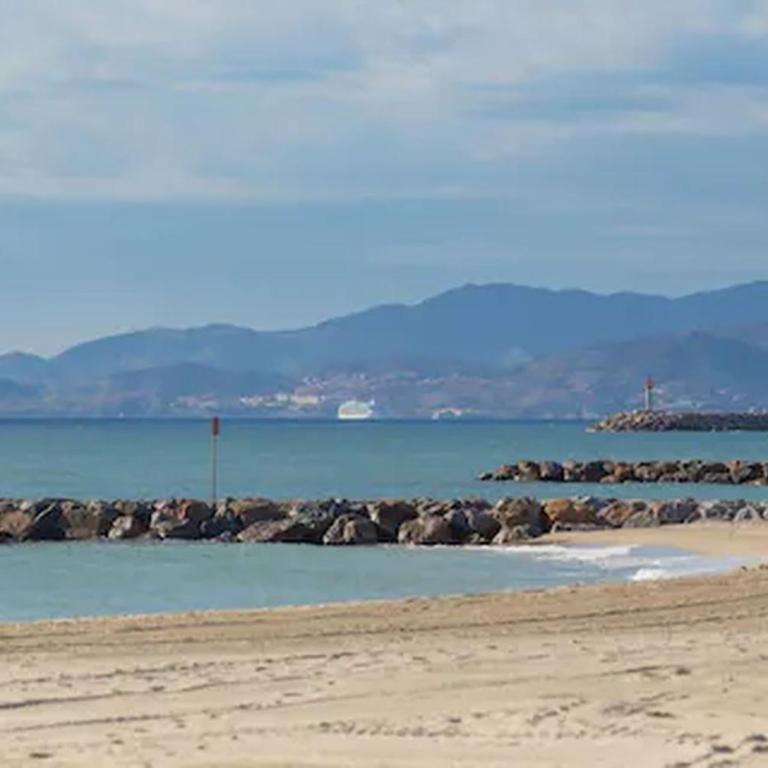 Appartement cosy proche port, plages et montagnes. - Appartement 1 Chambre - 18