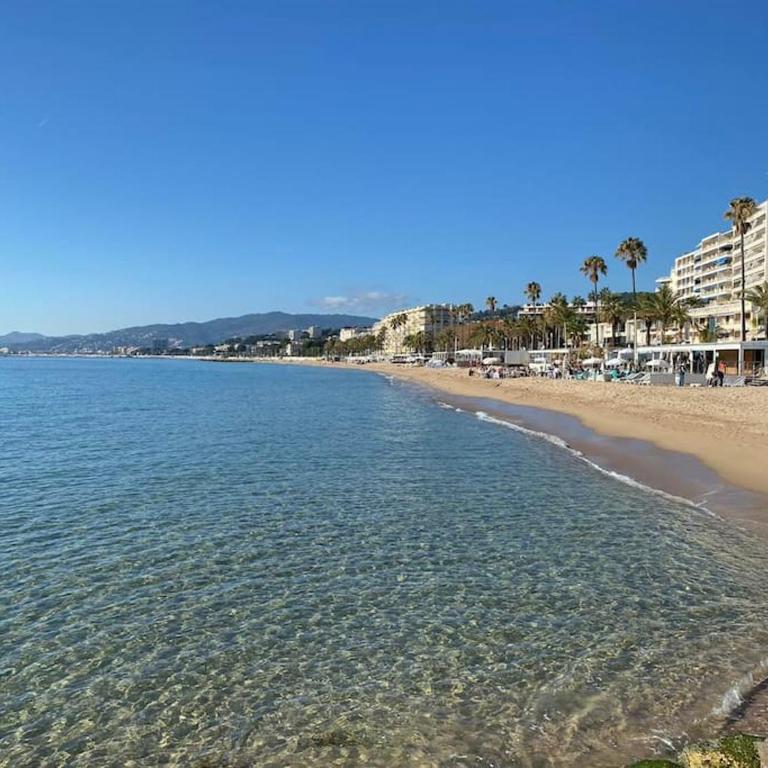 Grand 2 pieces- Marche Forville - Appartement 1 Chambre - 12