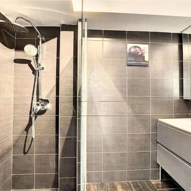 Grand 2 pieces- Marche Forville - Appartement 1 Chambre - 6