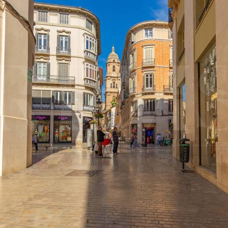Apartment with Cathedral view & terrace by REMS - Apartamento de 2 dormitorios - 52