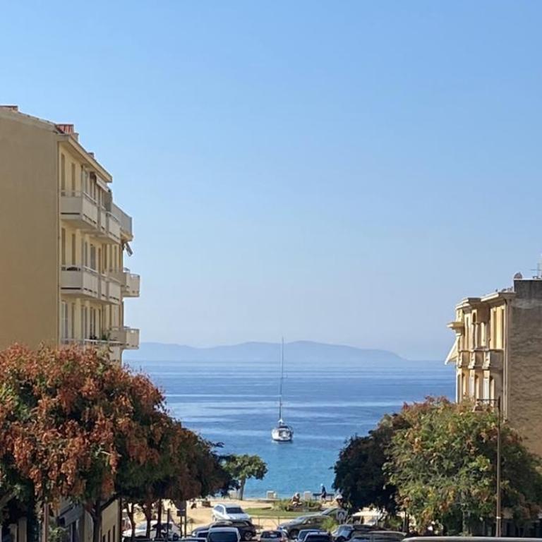 Studio neuf et lumineux - Ajaccio centre - Place Miot/Albert 1er - Appartement 1 Chambre - 8