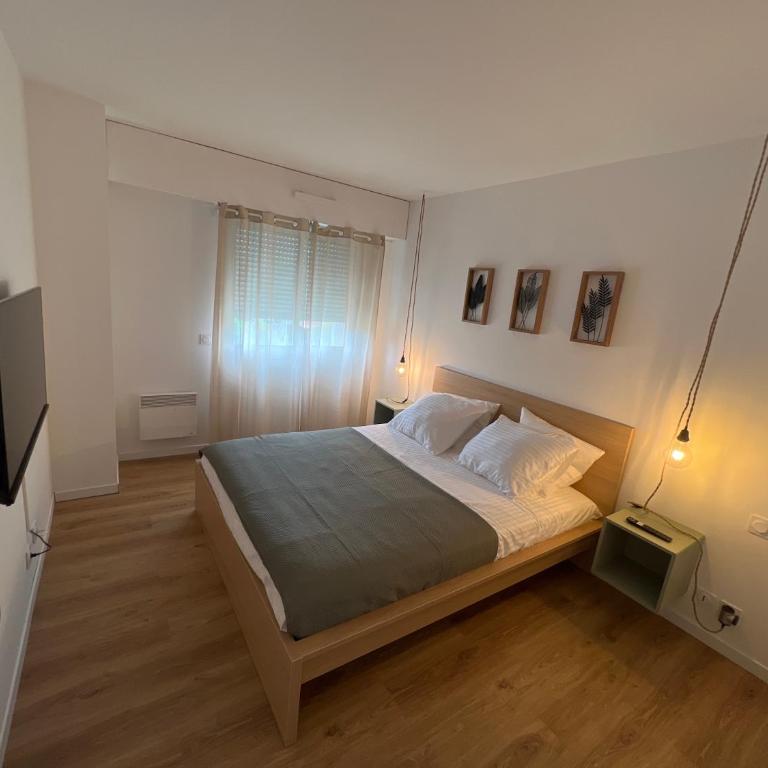 Appartemment Cozy Vue sur Mer - Appartement 1 Chambre - 2