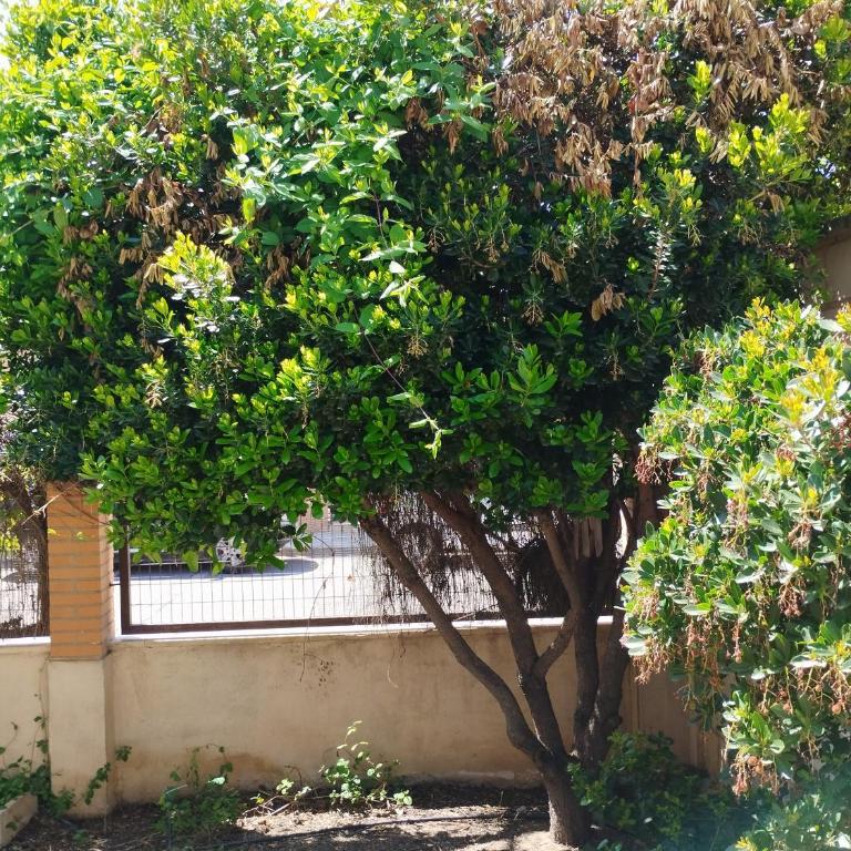 Chalet con JARDIN PUY DU FOU a 10 min ,NO FIESTAS!! - Apartamento de 2 dormitorios - 9