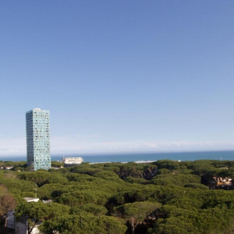 Pineta Residence - Home Immobiliare Jesolo - Appartamento con 1 Camera da Letto - 6