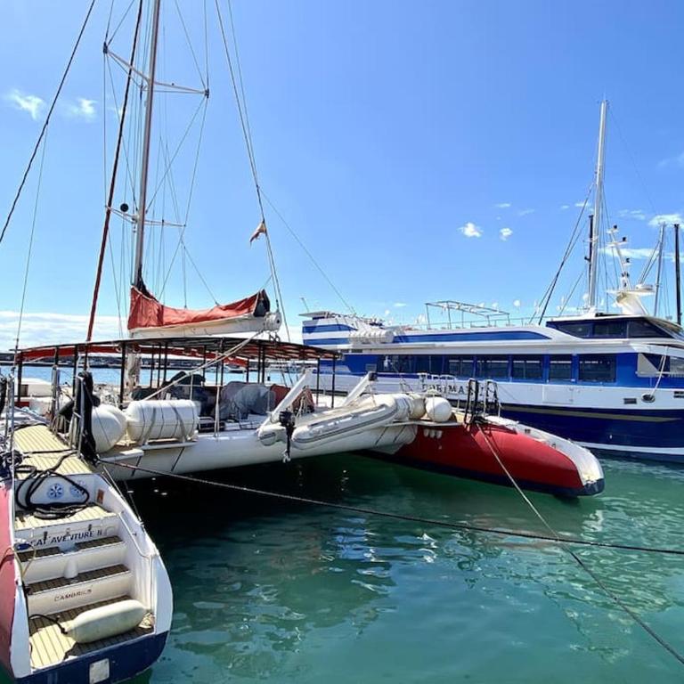 Apartamento con las vistas al mar - Apartamento de 2 dormitorios - 27