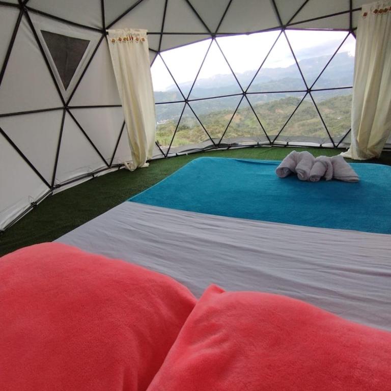 GLAMPING DOMO VILLETA - Tienda - 12
