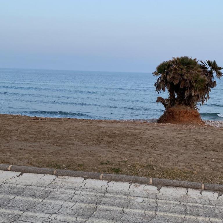 Appart vue sur mer a marina d'or - Apartamento de 2 dormitorios - 37