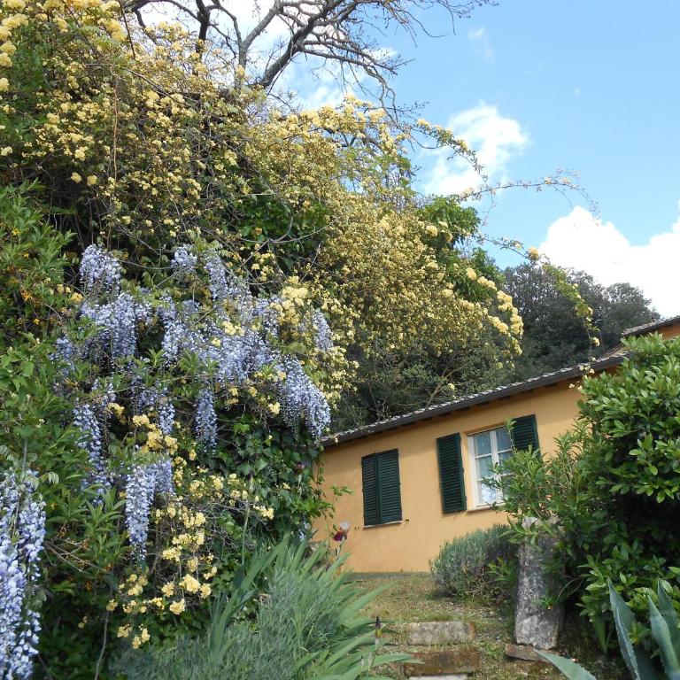 Casa Asilo La Foce, Val d' Orcia, Pienza. - Casa con 2 Camere da Letto - 37