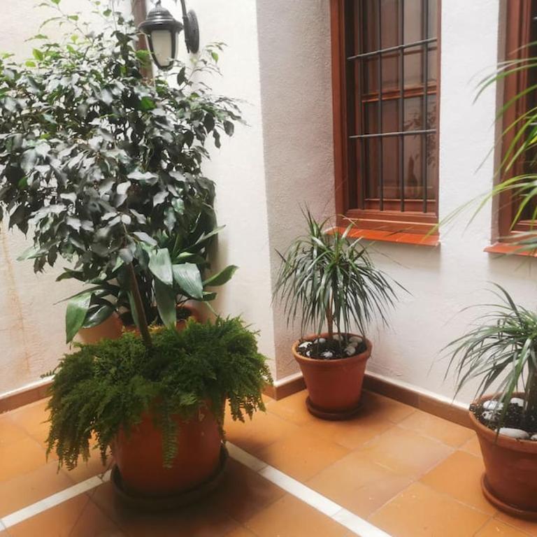 Attico luxury SuiteMálaga - One-Bedroom Apartment - 29