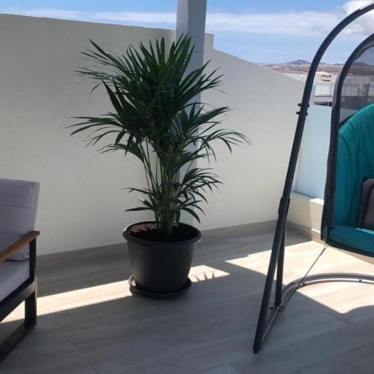 La Tejita - Dream Rooftop Apartment - Apartamento de 2 dormitorios - 12
