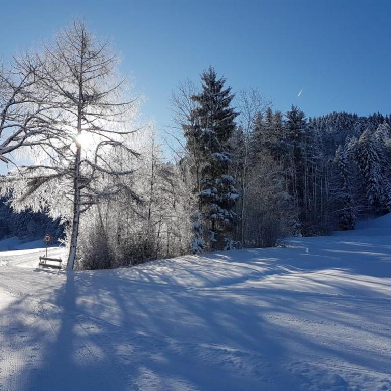 Ferienwohnung Enzian 3 im Feriendorf Sonnenhang im Allgäu - Apartment mit 3 Schlafzimmern und Balkon - 18
