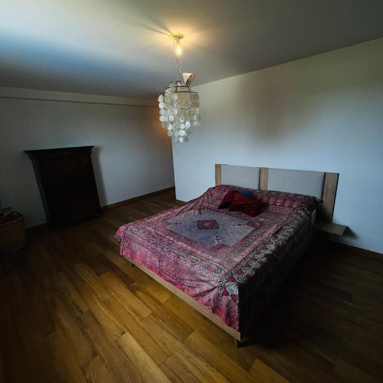 St Cyprien - Marquard family - Appartamento - 10