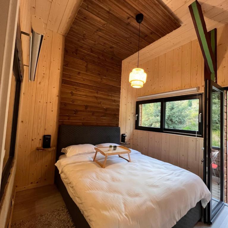 Grand Cerf - Vue Panoramique La Bresse-Gerardmer - Appartement 2 Chambres - 5
