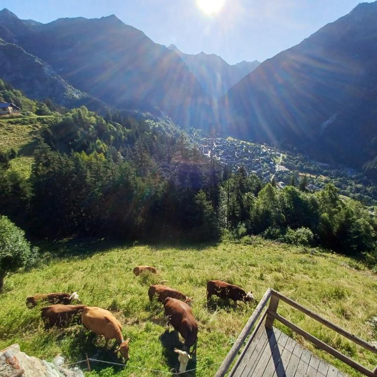 Unique à Champagny l'appartement Panoramik dans un Chalet d'Alpage avec une vue exceptionnelle - Appartement 2 Chambres - 13