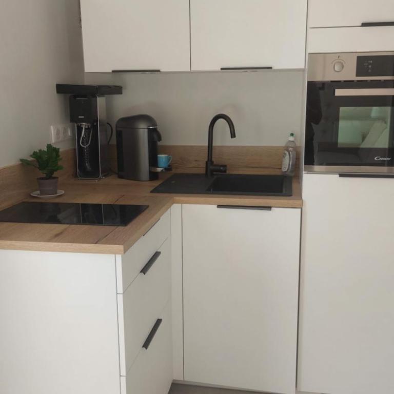 La Soldanelle vue lac et montagnes - Appartement 1 Chambre - Vue sur Lac - 18